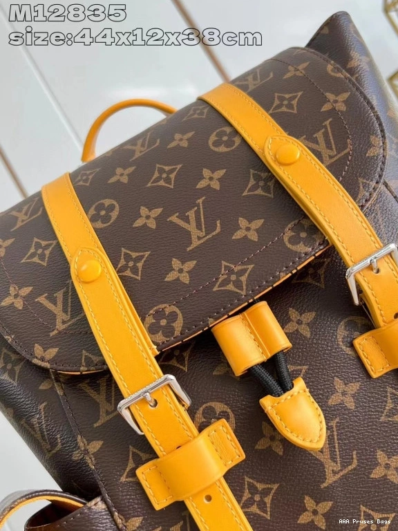 AAA Pruses Bags Louis Vuitton Backpack MM-38*44*12.5CM Christopher 0811